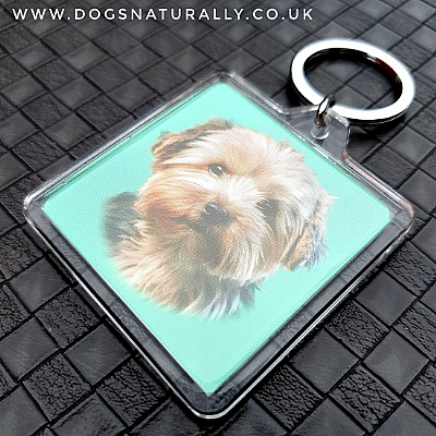 Yorkshire Terrier Puppy Keyring (Square)